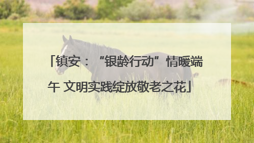镇安：“银龄行动”情暖端午 文明实践绽放敬老之花